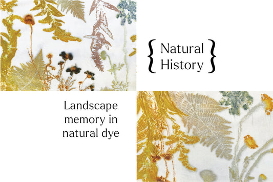 Natural History - Landscape Memory in Natural Dye