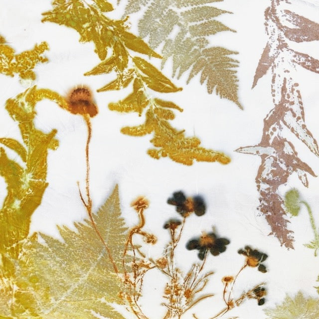 Introduction to Botanical Eco-printing