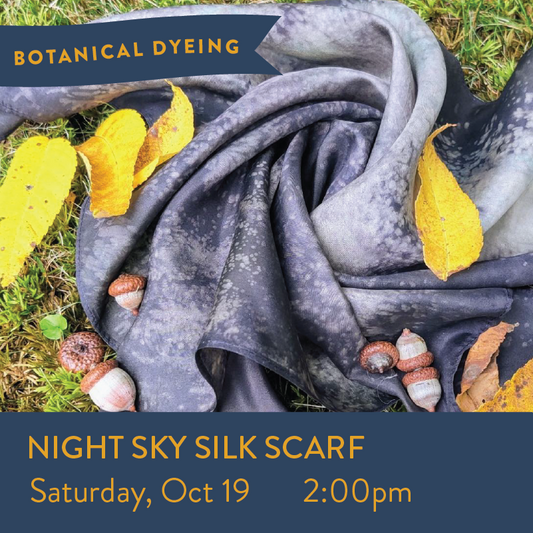 Night Sky - Natural Dyed Silk Scarf Oct 19