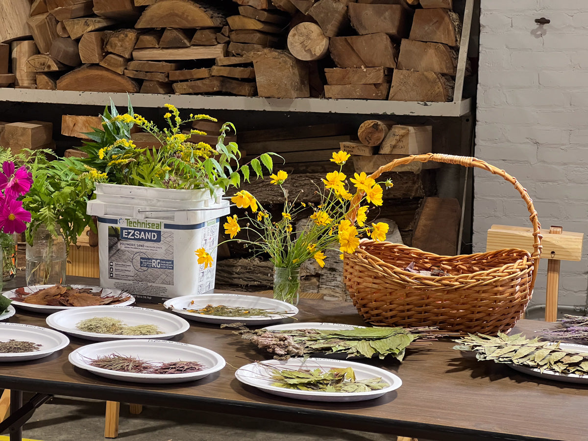Introduction to Botanical Eco-printing