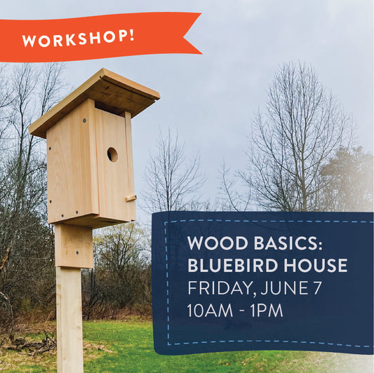 Workshop: Build the Perfect Bluebird House - Friday, June 7th