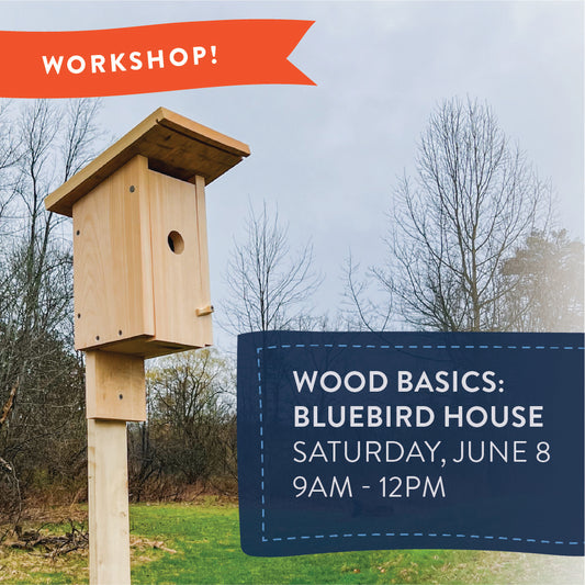 Workshop: Build the Perfect Bluebird House - Saturday, June 8th